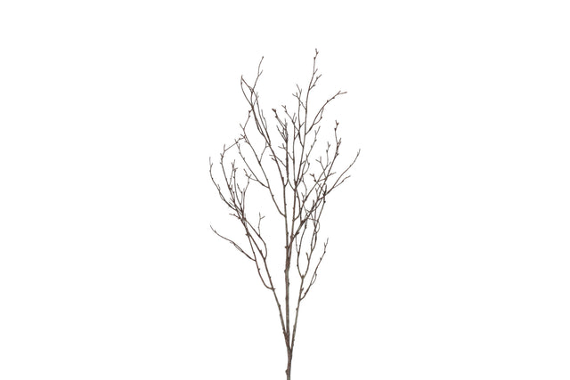 Κλαδί Kαφέ 6x16x63cm