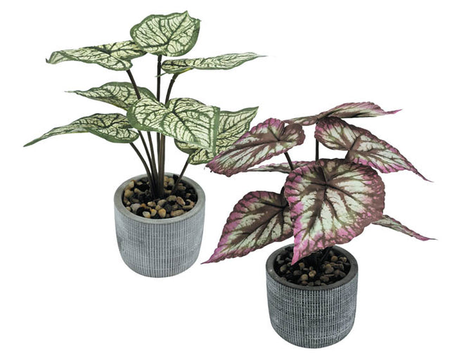 Φυτό Τεχνητό σε Κεραμικό Γλαστράκι 20x20x25cm Tns