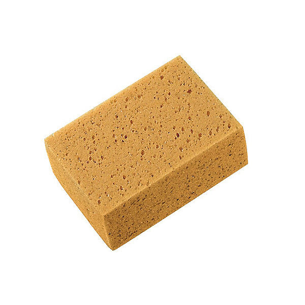 Σφουγγάρι Αυτοκινήτου 20x12x5cm N.227