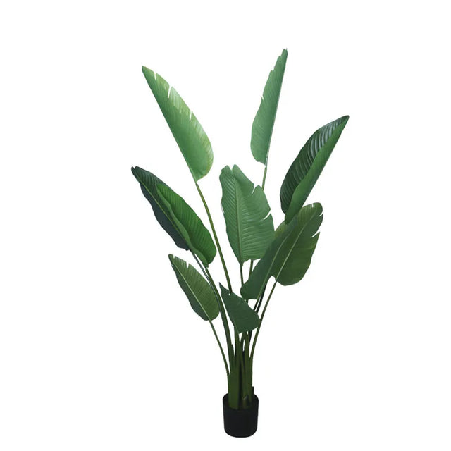 ΔΕΝΤΡΟ ΣΤΡΕΛΙΤΣΙΑ ΠΡΑΣΙΝΟ ΣΕ ΓΛΑΣΤΡΑ - Y150cm