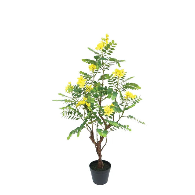 ΔΕΝΤΡΟ ΚΑΣΣΙΑ ΚΙΤΡΙΝΟ REAL TOUCH ΣΕ ΚΑΣΠΩ - Υ90cm