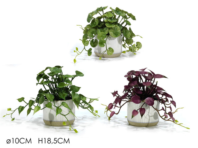 Τεχνητό Φυτό Πρασινάδα σε Κεραμικό Κασπώ Λευκό 10xh18.5cm