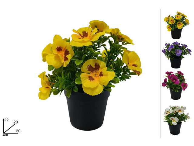 Φυτό σε Γλαστράκι Πλαστικό Διάφορα Χρώματα h22cm Welkhome