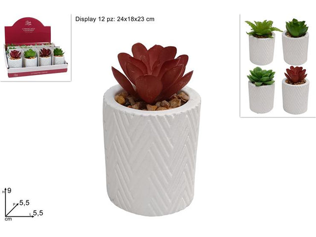 Τεχνητό Φυτό Κακτοειδή σε Κεραμικό Κασπώ 9cm