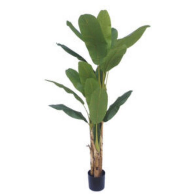 Δέντρο Τεχνητό Μπανάνια Τριπλή Real Touch σε Γλάστρα Υ190cm Marhome