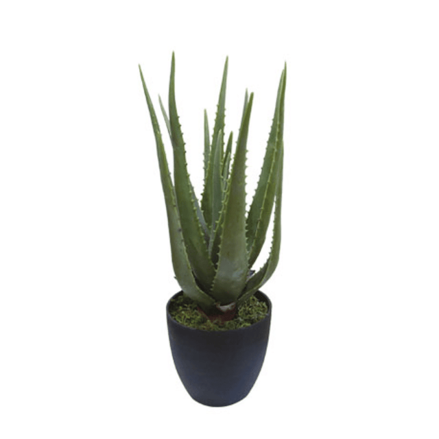 Κάκτος Τεχνητό Φυτό Αλόη σε Γλάστρα Y47cm Marhome 04-00-18715