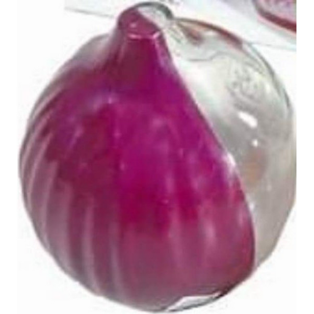 Θήκη κρεμμυδιού πλαστική E-1982 Sidirela