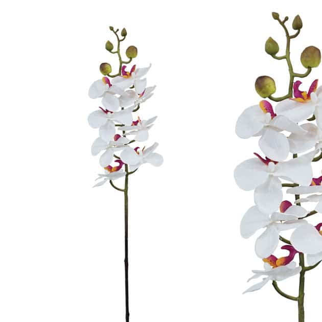 Κλαδί Τεχνητό Ορχιδέα Σαμπανί ΦΑΝΕΛΟΨ Y76cm Marhome 00-00-2520-1