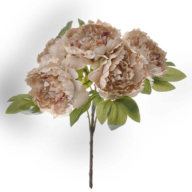 Κλαδί Τεχνητό Παιώνια Σομόν Χ5 50cm Iliadis 78062