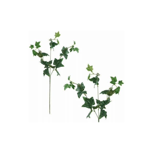 Κλαδί Τεχνητό Κισσός Πράσινο Y56cm Marhome 00-00-1750