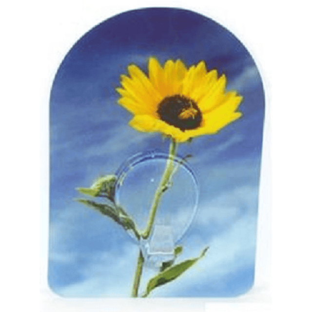 Κρεμαστράκι Τοίχου Αυτοκόλλητο Πλαστικό Max 12Kg Γαλάζιο 9,5x6,5x2,5cm Art.MI007209 Welkhome