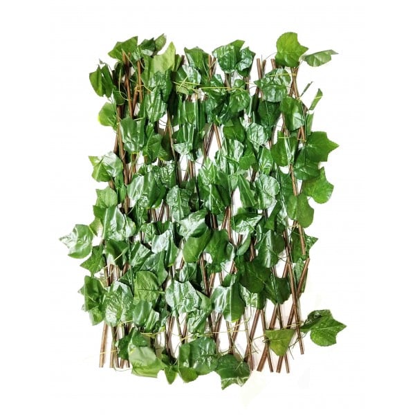 Πέργολα Πτυσσόμενη Με Φύλλωμα 120cm x 2m 20466-1 Mizoo