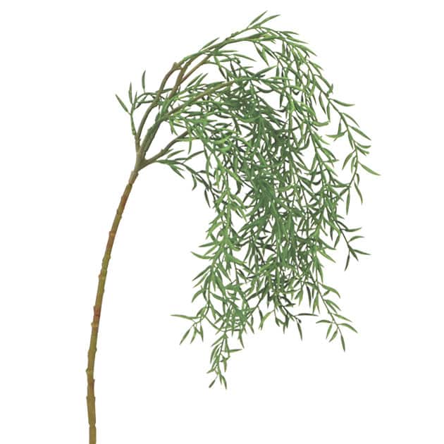 Κρεμαστό Τεχνητό Φυτό Ρίζα Παχύφυτο ΜΥΤΕΡΟ ΦΥΛΛΟ ANOIXTO ΠΡΑΣΙΝΟ 20x50/80cm Marhome