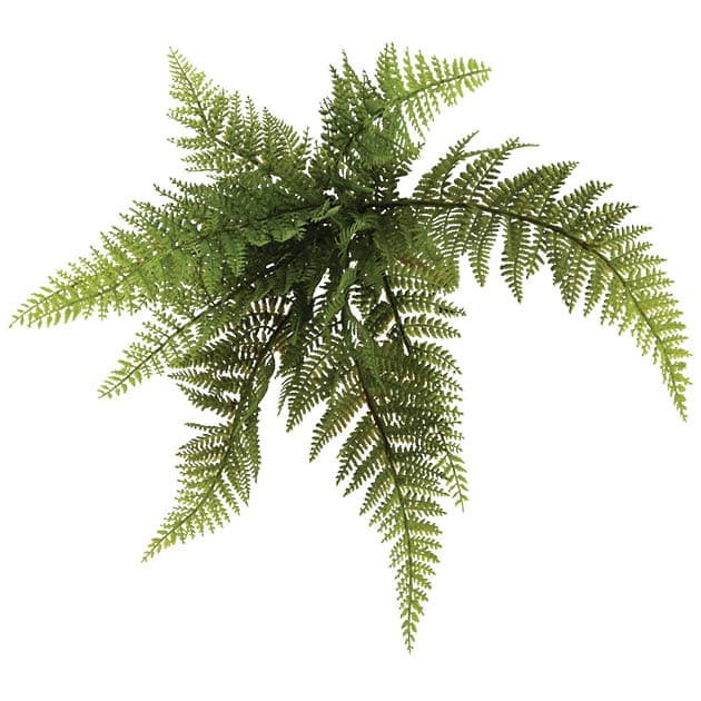Κρεμαστό Τεχνητό Φυτό Ρίζα Φτέρη Αρρενόπτερη Πράσινο 30cm Marhome 00-00-21018