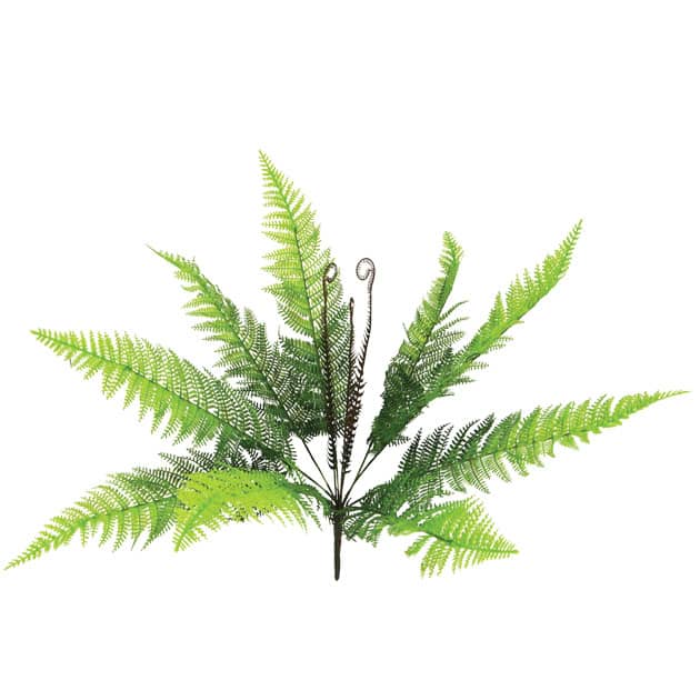Κρεμαστό Τεχνητό Φυτό Ρίζα Φτέρη Πράσινο Φ60x50cm Marhome 20418-1