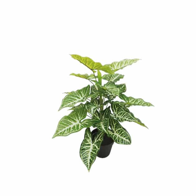 Φυτό Τεχνητό Καλάδιο Real Touch σε Γλάστρα Y45cm Marhome 04-00-18771