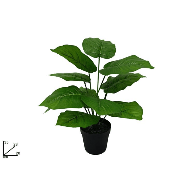 Φυτό Τεχνητό Πλατύφυλλο σε Γλάστρα h35cm Welkhome