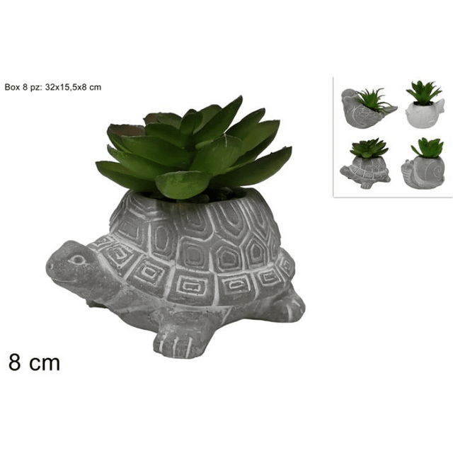 Φυτό σε Γλαστράκι Κεραμικό Διάφορα Σχέδια 8cm Welkhome