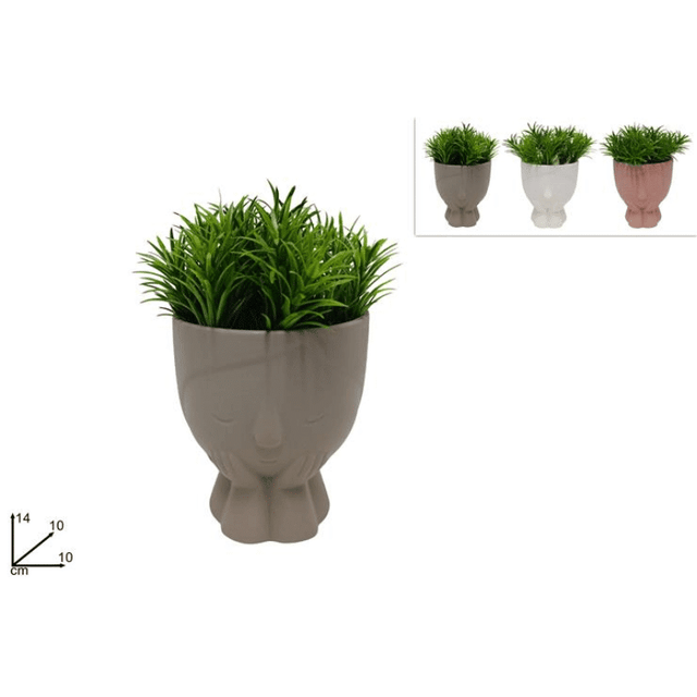 Φυτό σε Γλαστράκι Πρόσωπο Πλαστικό 14x10cm 3 Χρώματα Welkhome