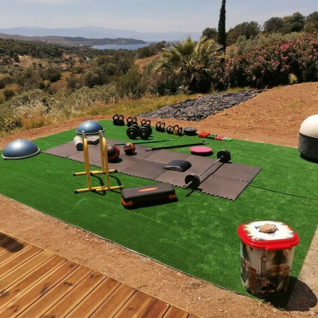 Χλοοτάπητας Συνθετικός Γκαζόν 12mm 1X2metra E-3269 Sidirela