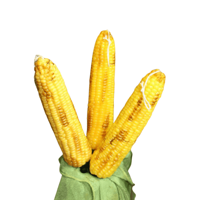 Λαμπάδα Πασχαλινή (Gerakis) ΚΑΛΑΜΠΟΚΙ 26x5cm 000163