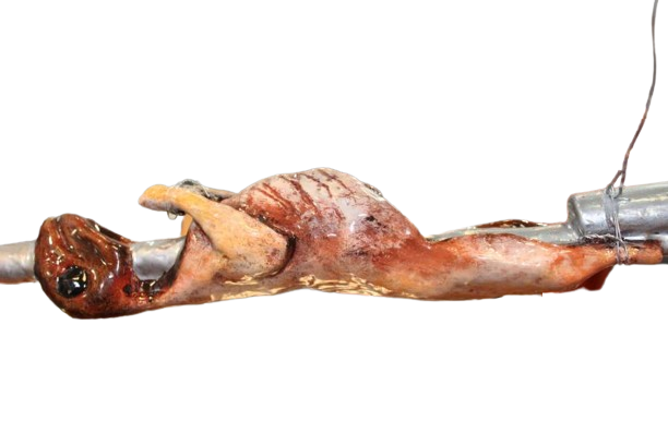 Λαμπάδα Πασχαλινή (Gerakis) ΚΑΤΣΙΚΑΚΙ ΣΤΗ ΣΟΥΒΛΑ 35,5x6x5cm 000698