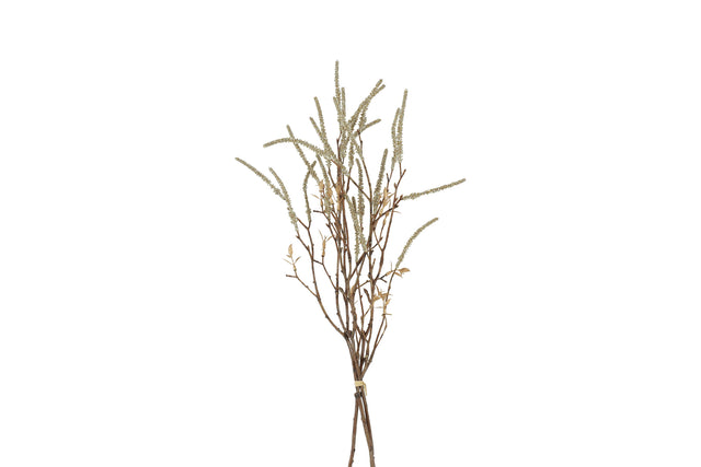 Κλαδί Σαμπανιζέ 6x16x63cm