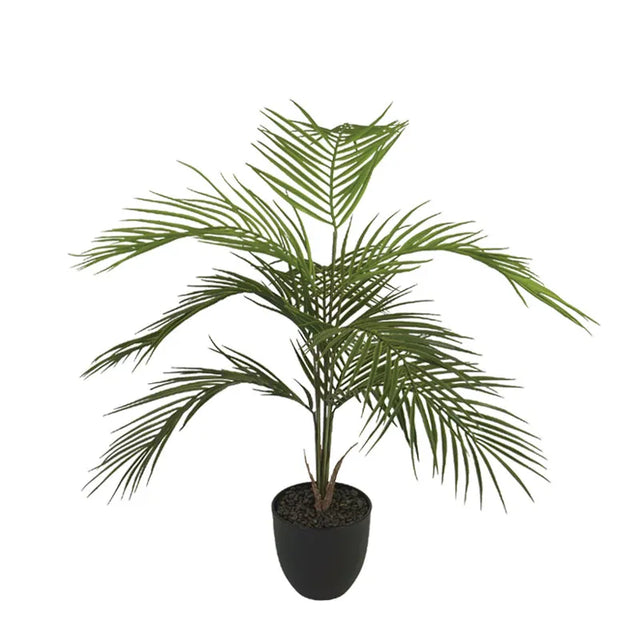 ΔΕΝΤΡΟ ΦΟΙΝΙΚΑΣ PALM ΣΕ ΚΑΣΠΩ - Y81cm