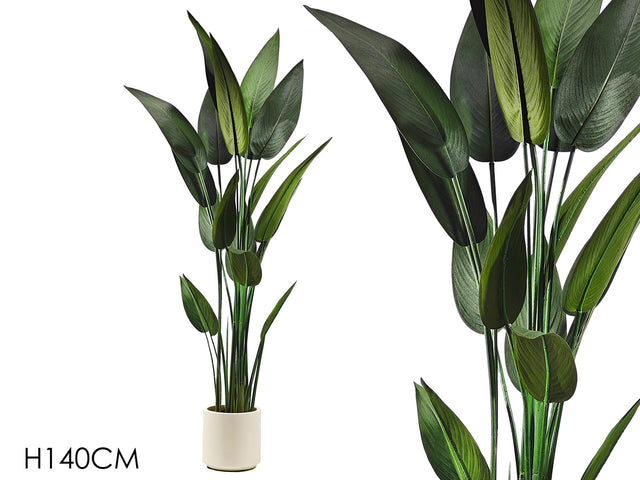 Τεχνητό Φυτό Στρελίτσια h140cm σε Κεραμικό Κρέμ Κασπώ