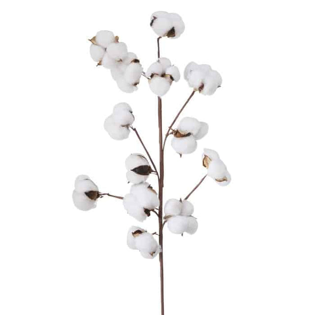 Κλαδί Τεχνητό Βαμβάκι H68cm Boltze