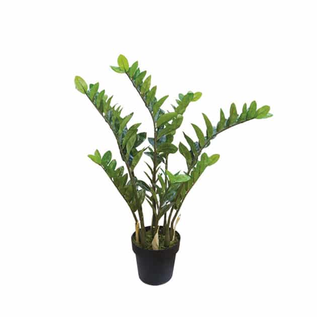 Δέντρο Τεχνητό Zamia Real Touch σε Γλάστρα Y95cm Marhome 04-00-18719
