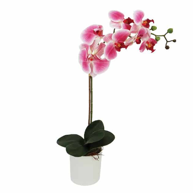 Φυτό Τεχνητό σε Κασπώ Ορχιδέα Real Touch ΦΟΥΞ 47cm Marhome