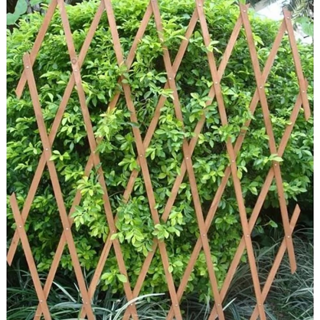 Πέργκολα Πτυσσόμενη 180x150εκ. Ξύλινη WTRELLIS-150