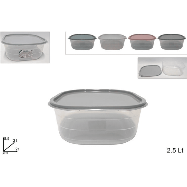 Φαγητοδοχείο Πλαστικό 2500ml σε 4 Χρώματα Welkhome