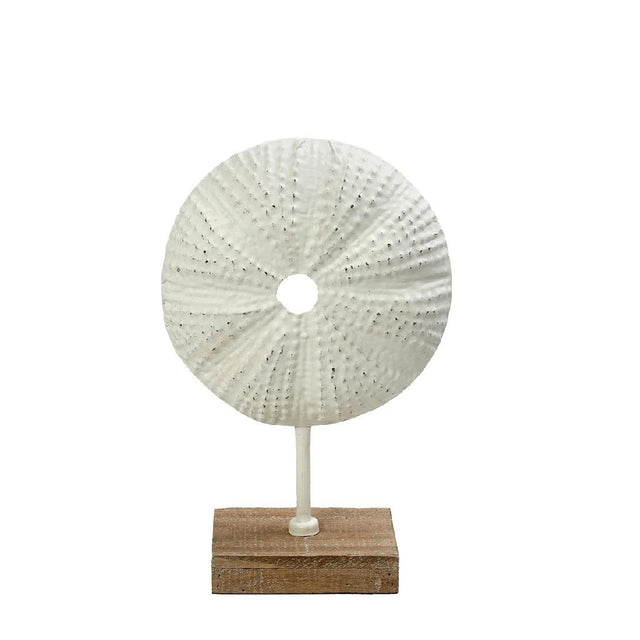 Επιτραπέζια Φιγούρα Αχινός Λευκή 20.5x10x31.5cm