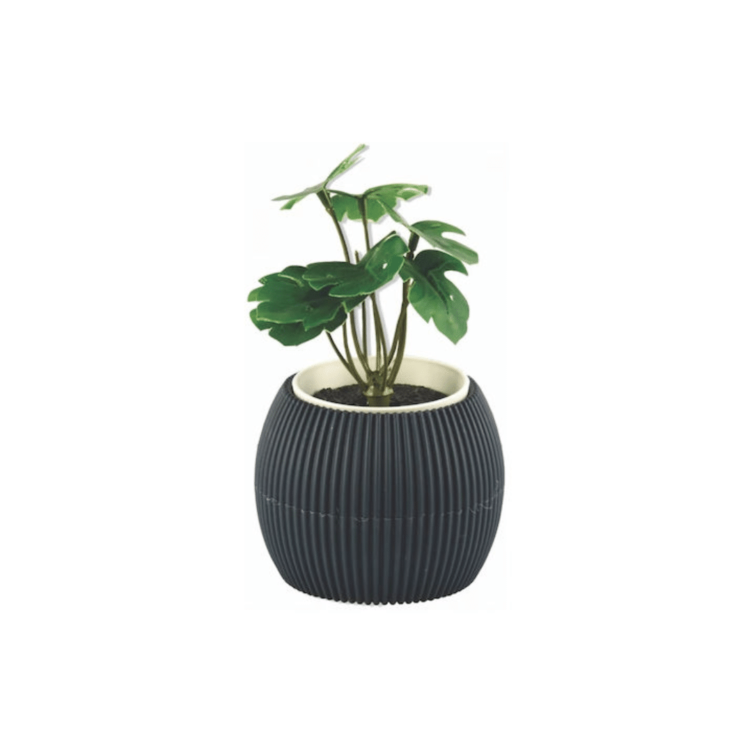 Γλάστρα – Κασπώ Πλαστική με Εσωτερικό Πιάτο Cactus 11×9cm TnS 32 800 1712